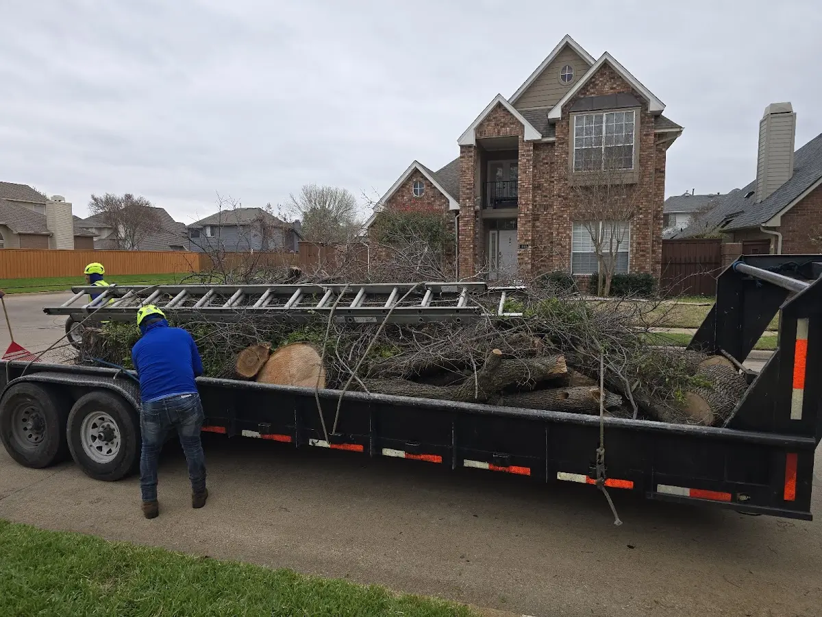 Expert Tree Removal with proper safety equipment in Union Pier